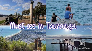 Must see in Tauranga Mount Maunganui Bay of Plenty New Zealand 新西兰北岛城市陶朗加不能错过景点 [upl. by Brooke35]