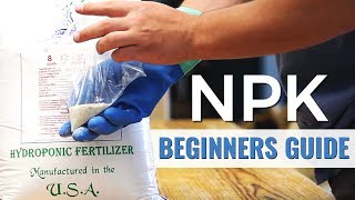 A Beginners Guide NPK in Hydroponics [upl. by Hermia]