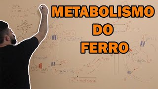 Metabolismo do ferro [upl. by Dyson582]