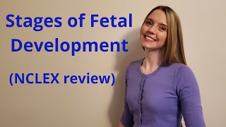 THE STAGES OF FETAL DEVELOPMENT  NCLEX REVIEW [upl. by Ralyat]