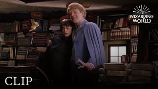 Gilderoy Lockhart  Harry Potter and the Chamber of Secrets [upl. by Esserac]