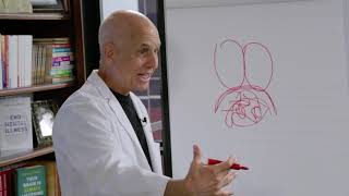 How to Break a Panic Attack in 2 Minutes  Dr Daniel Amen and Nikki Leigh panicattack [upl. by Ellersick]