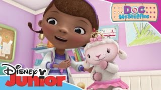 Doc McStuffins  Doc Finds Donny  Official Junior Channel Africa [upl. by Airtal]