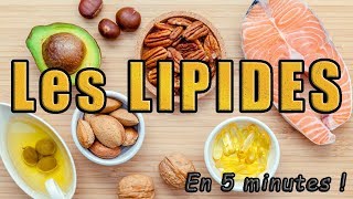 Les LIPIDES en 5 minutes [upl. by Buehler613]