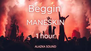 Beggin Måneskin 1 Hour [upl. by Kimberlee]