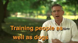 The Dogfather Explains How He Trains Dogs amp Puppies [upl. by Aicen424]