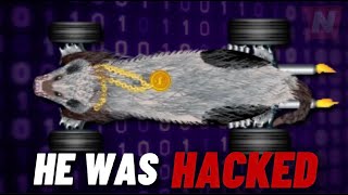 THE WAMPUS WAS HACKED… [upl. by Rdnaskela61]