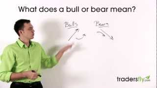 What Does a Bull and Bear Mean in the Stock Market [upl. by Cyrie493]