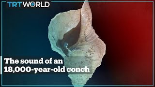 The sound of an 18000yearold conch the oldest shell instrument [upl. by Akimal487]