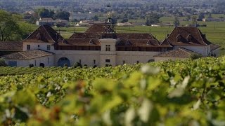 France’s SaintEmilion A red wine lover’s paradise [upl. by Whitson]