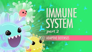 Immune System Part 2 Crash Course Anatomy amp Physiology 46 [upl. by Sirrom]