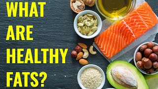 What Are Healthy Fats  Explained By Dr Balduzzi [upl. by Trow535]