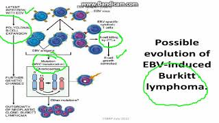 Microbial carcinogenesis [upl. by Annael]