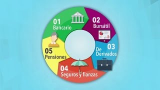 El Sistema Financiero Mexicano [upl. by Gathers]