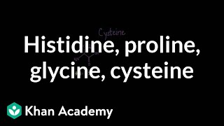 Special cases Histidine proline glycine cysteine  MCAT  Khan Academy [upl. by Nileve]