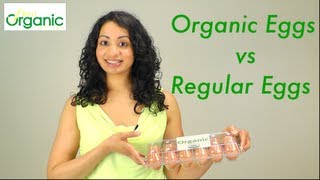 Organic Eggs vs Regular Eggs [upl. by Yllier]