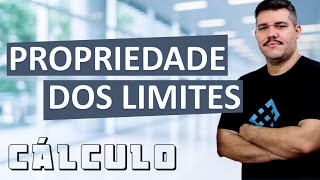 📚 Propriedade dos Limites  Cálculo 1 4 [upl. by Theurich]