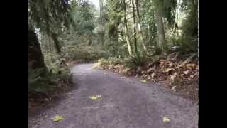 Snoqualmie Falls Trail 4x Speed [upl. by Merritt745]