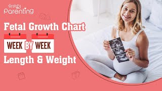 Foetal Growth Chart Week by Week  Length amp Weight [upl. by Dugald]