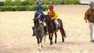 Shetland Pony Race [upl. by Vittorio]