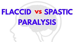 FLACCID vs SPASTIC PARALYSIS  CNS PHYSIOLOGY  NEUROPHYSIOLOGY [upl. by Kuth]