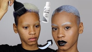 Adore Titanium Hair Dye Tutorial [upl. by Pepito569]