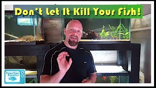 How to Lower Nitrites in an Aquarium [upl. by Noiroc]