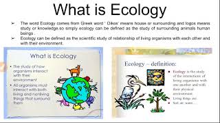 What is ecology and ecosystem classification of ecosystem [upl. by Rothmuller]