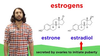 Lipids Part 2 Steroids [upl. by Eigram991]