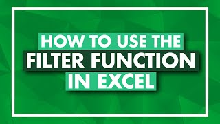 How to Use the FILTER Function in Excel  Excel FILTER Tutorial [upl. by Ojybbob178]