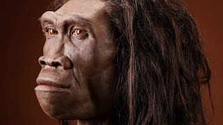 Homo erectus  The Upright Man [upl. by Peery]