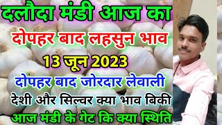 दलौदा मंडी दोपहर बाद का लहसुन का भाव 13 जून 2023  garlic rate today aaj ka lahsun bhav daloda [upl. by Stefano]