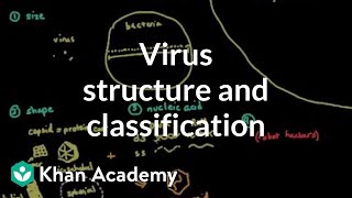 Virus structure and classification  Cells  MCAT  Khan Academy [upl. by Nauwtna]