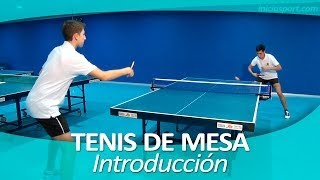 TENIS DE MESA 1 Introducción [upl. by Dorothi390]