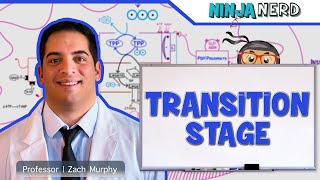 Metabolism  Transition Stage Preparatory Phase [upl. by Patrice374]