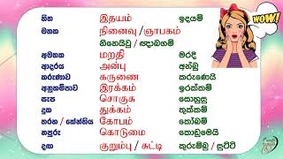 Daily used 500 Tamil words with pronunciation [upl. by Aninep634]