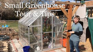 Small Greenhouse Tour amp Tips [upl. by Eerol]