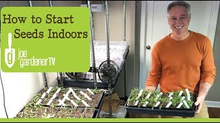 How I Start Seeds Indoors Tips amp Techniques [upl. by Amund3]