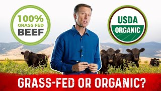 Is GrassFed Beef Really Healthier Than GrainFed [upl. by Nanis]