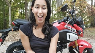 You’re going to want a Honda Grom after watching this [upl. by Rech]