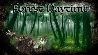 DampD Ambience  Forest Daytime [upl. by Ansilme]