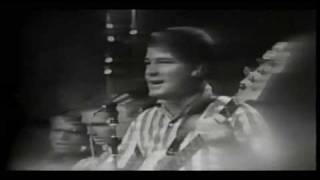 Beach Boys  Surfin USA amp Surfer Girl  Live [upl. by Franckot468]