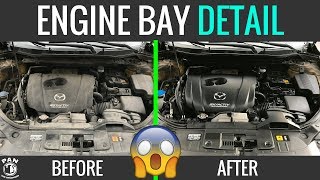 HOW TO CLEAN YOUR ENGINE BAY  EASY TUTORIAL [upl. by Delia]