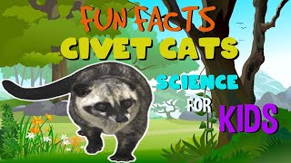 Fun Facts about the Civet Cat  Science Facts for Kids [upl. by Springer]