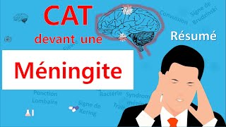 Méningite🙄 cest quoi la CAT 🤔  Résumé  Infectiologie [upl. by Bove]