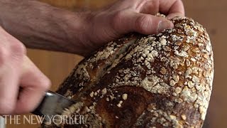 Baking bread at Tartine Bakery  Annals of Gastronomy  The New Yorker [upl. by Imeon437]