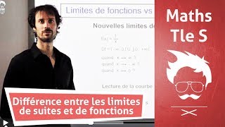 Terminale  Maths  Interprétation géométrique des limites [upl. by Fanya]