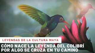 LA LEYENDA DEL COLIBRÍ [upl. by Boff]