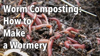 Worm Composting How to Make a Wormery [upl. by Nallid]