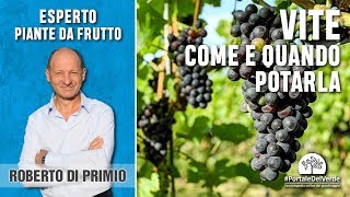 Come e quando potare la vite [upl. by Norit]